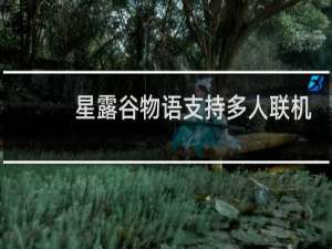 星露谷物语支持多人联机
