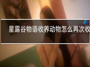 星露谷物语收养动物怎么再次收养