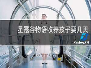 星露谷物语收养孩子要几天