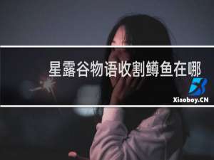 星露谷物语收割鳟鱼在哪