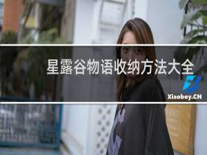 星露谷物语收纳方法大全