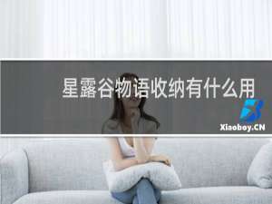 星露谷物语收纳有什么用