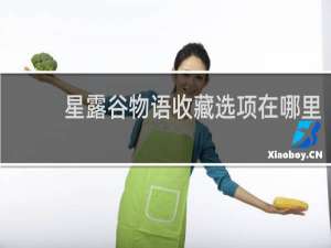 星露谷物语收藏选项在哪里