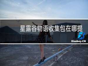 星露谷物语收集包在哪提