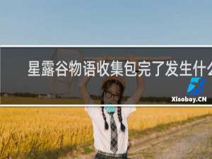 星露谷物语收集包完了发生什么