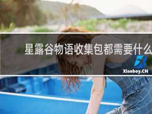 星露谷物语收集包都需要什么