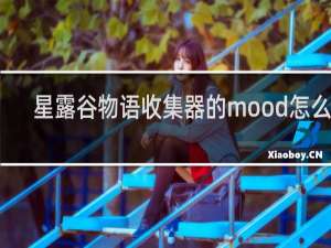 星露谷物语收集器的mood怎么用