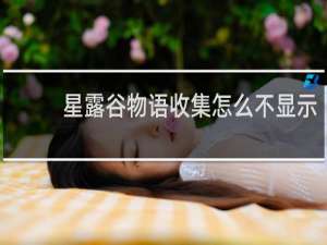 星露谷物语收集怎么不显示