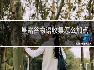 星露谷物语收集怎么加点