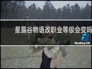 星露谷物语改职业等级会变吗