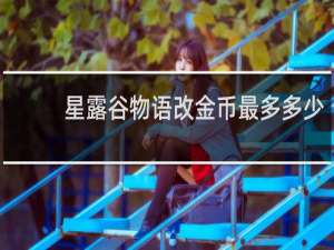 星露谷物语改金币最多多少