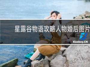 星露谷物语攻略人物婚后图片