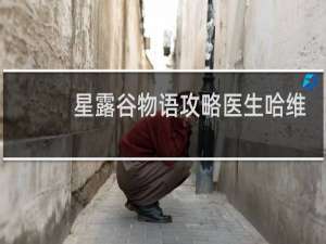 星露谷物语攻略医生哈维