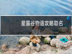 星露谷物语攻略取名