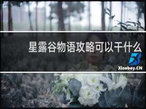 星露谷物语攻略可以干什么