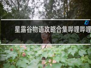 星露谷物语攻略合集哔哩哔哩
