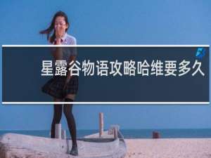 星露谷物语攻略哈维要多久