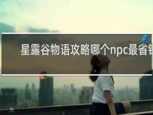 星露谷物语攻略哪个npc最省钱
