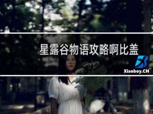 星露谷物语攻略啊比盖