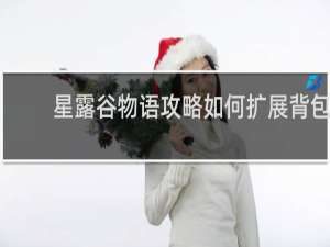 星露谷物语攻略如何扩展背包