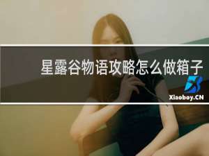 星露谷物语攻略怎么做箱子