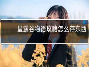 星露谷物语攻略怎么存东西