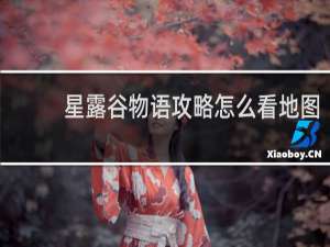 星露谷物语攻略怎么看地图