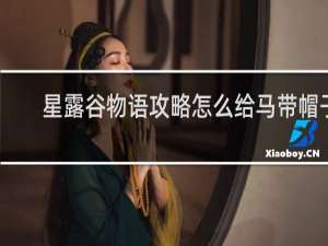 星露谷物语攻略怎么给马带帽子