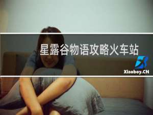 星露谷物语攻略火车站