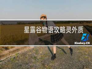 星露谷物语攻略灵外质