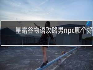 星露谷物语攻略男npc哪个好