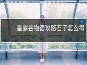 星露谷物语攻略石子怎么得