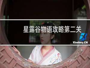 星露谷物语攻略第二关