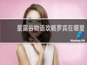 星露谷物语攻略罗宾在哪里