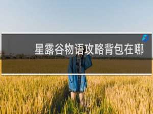 星露谷物语攻略背包在哪