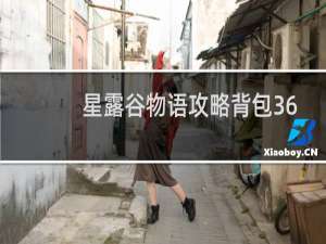 星露谷物语攻略背包36