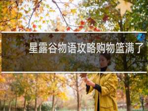 星露谷物语攻略购物篮满了