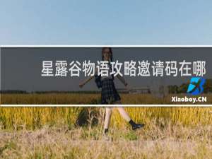 星露谷物语攻略邀请码在哪