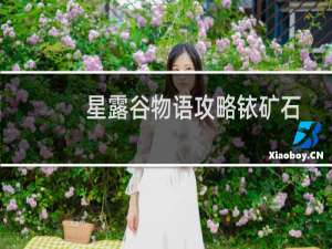 星露谷物语攻略铱矿石