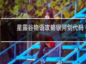 星露谷物语攻略银河剑代码