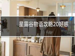 星露谷物语攻略 好感