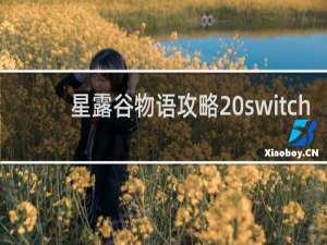 星露谷物语攻略 switch