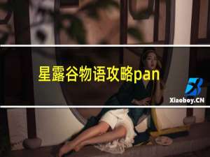 星露谷物语攻略pan