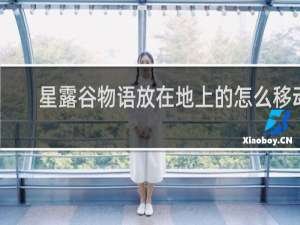 星露谷物语放在地上的怎么移动