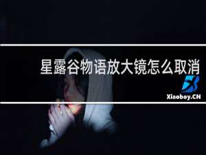 星露谷物语放大镜怎么取消