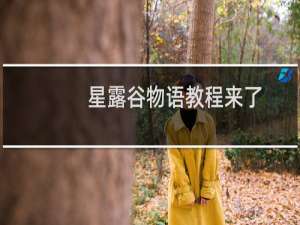 星露谷物语教程来了