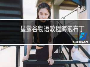 星露谷物语教程海泡布丁