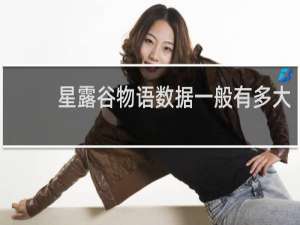 星露谷物语数据一般有多大