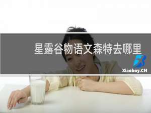 星露谷物语文森特去哪里