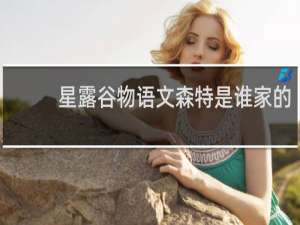 星露谷物语文森特是谁家的